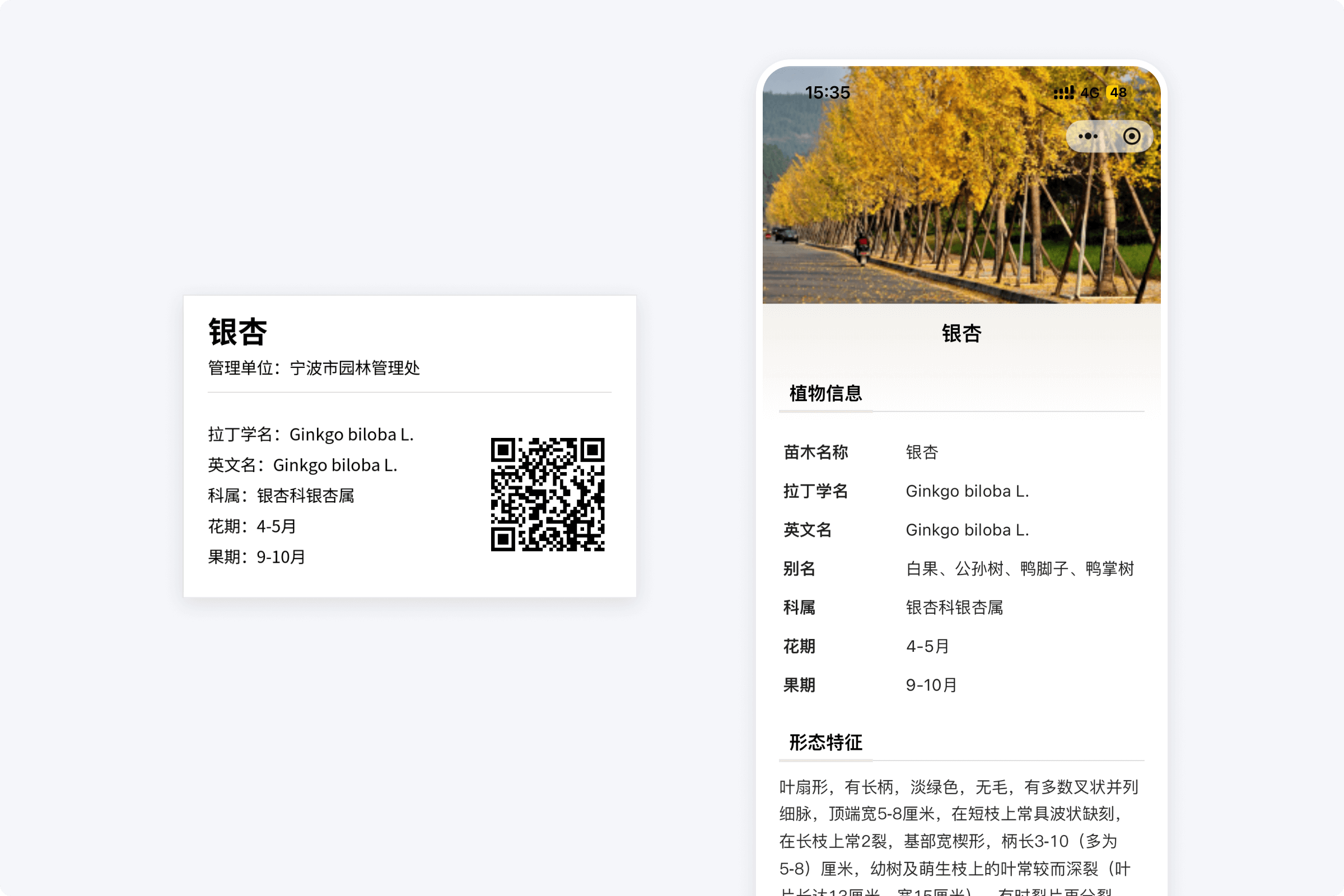 图文视频结合