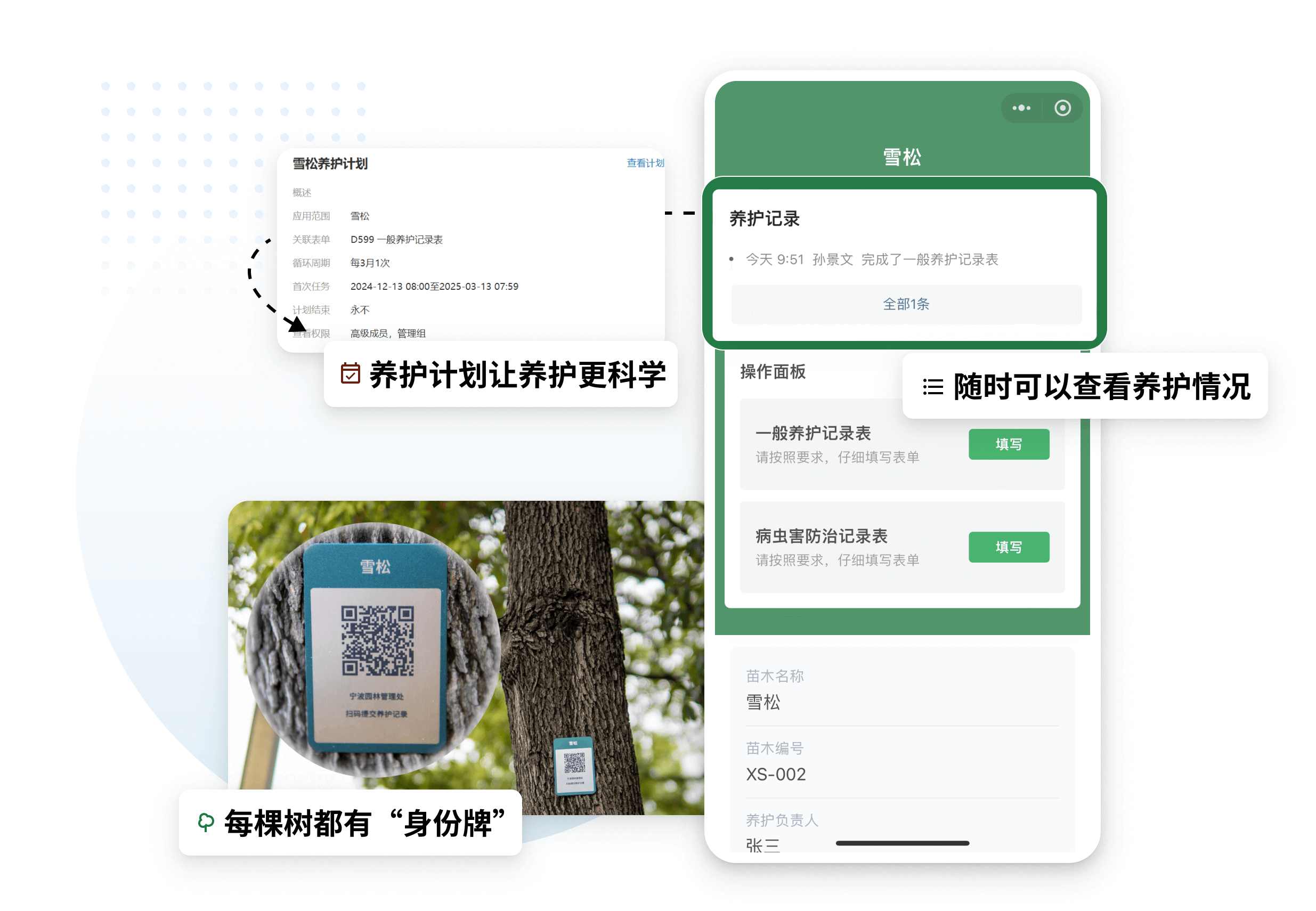 绿化养护