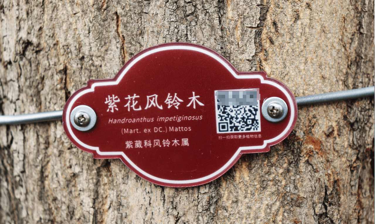 QR code tree tag example